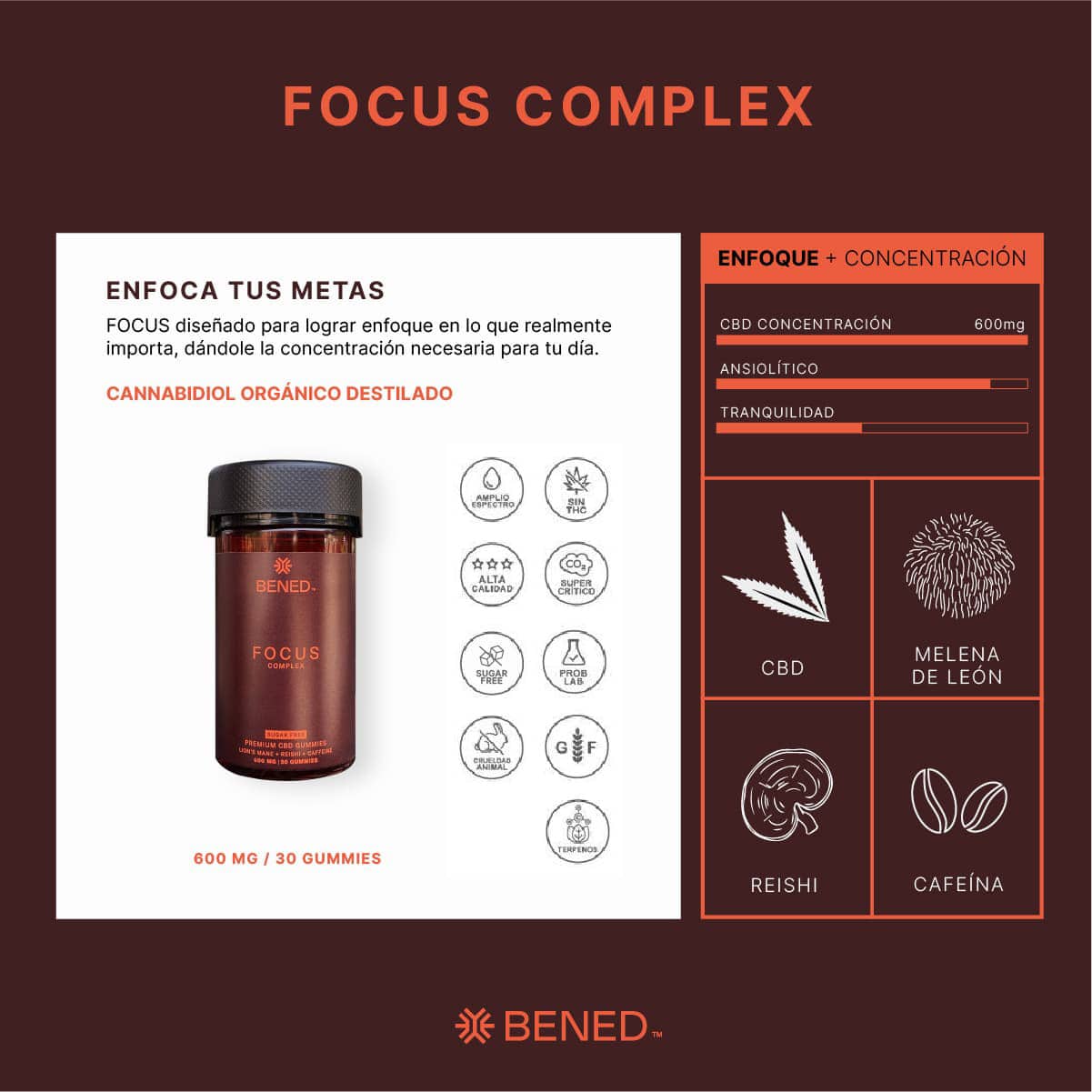 GOMITAS FOCUS COMPLEX